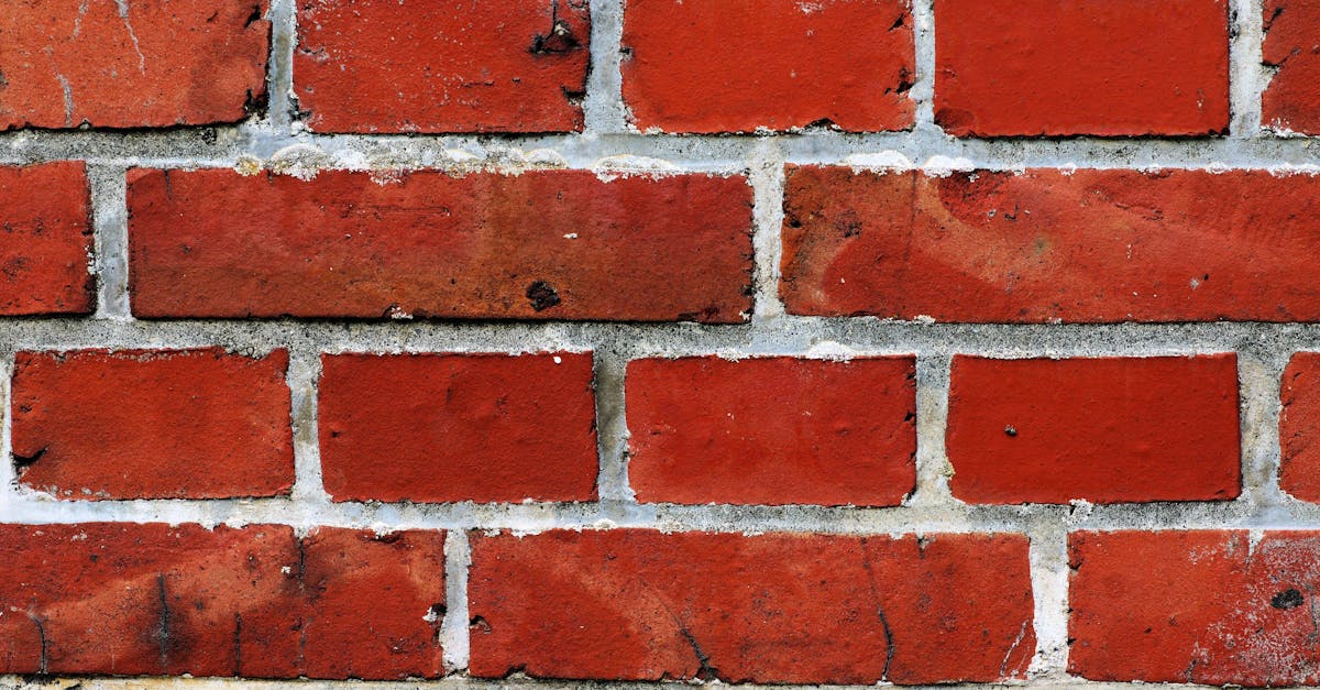 Essential Tools for Assessing Cavity Wall Tie Integrity