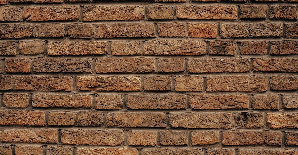 Must-Have Tools for Timely Cavity Wall Tie Checks