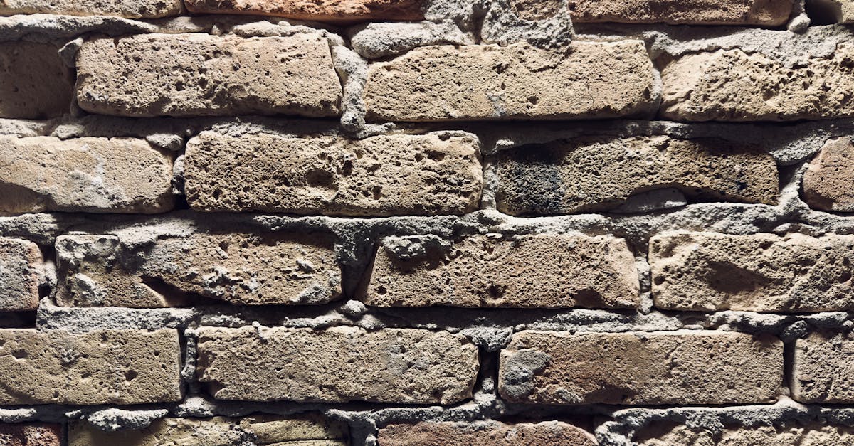 Scheduling Maintenance Activities for Optimal Cavity Wall Tie Performance